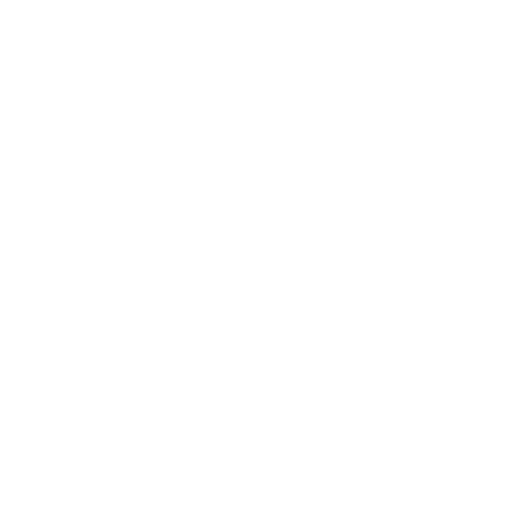 CarZone - (832) 494-1390